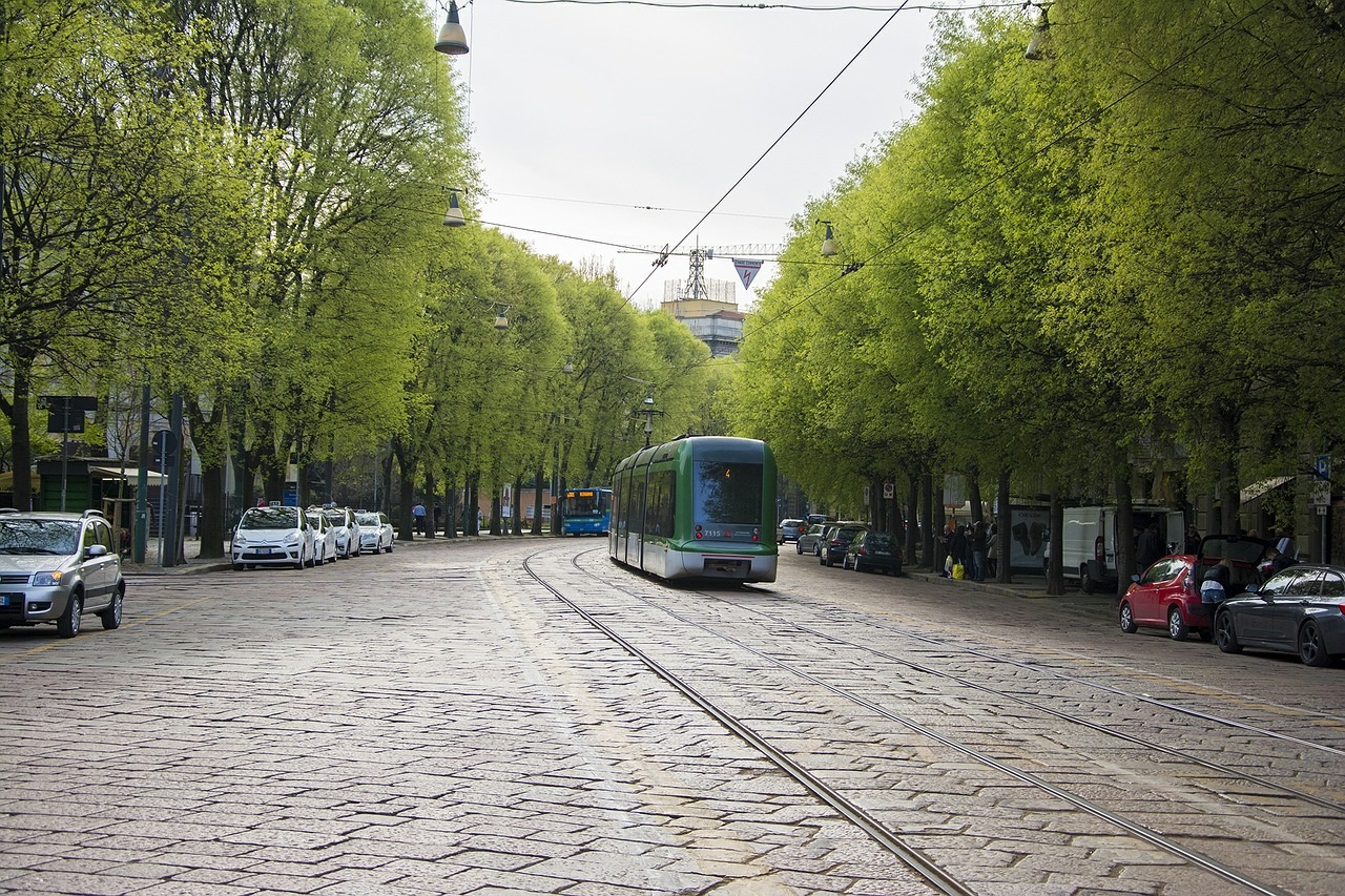 Nuove Regole a Vantaggio degli Alberi: Multe Elevatissime!